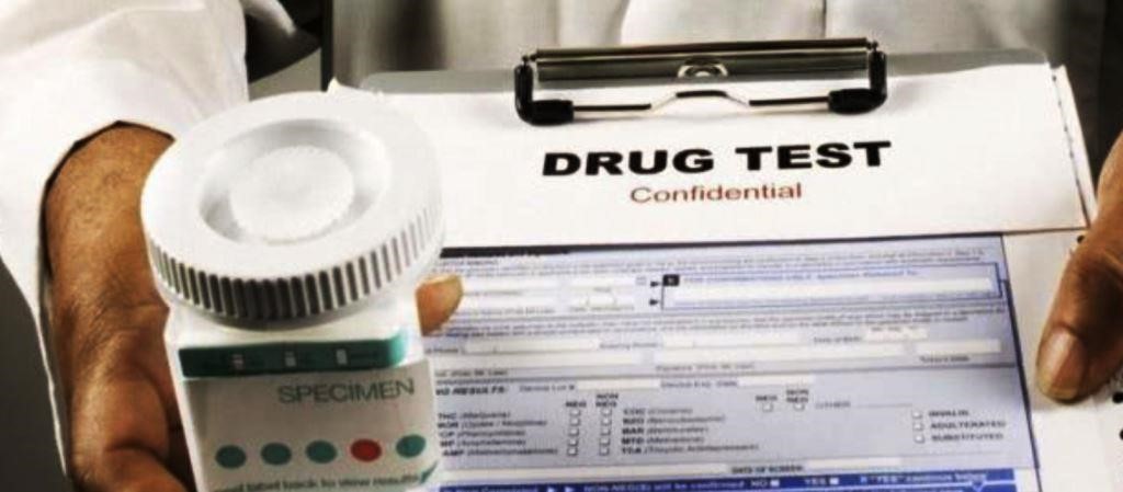 Synthetic Urine Prices Omni Tavares FL